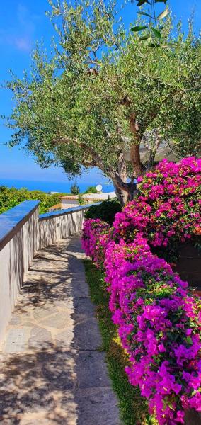 Appartamenti Luongo Ischia